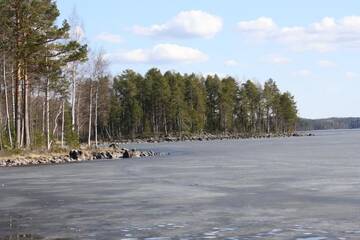 Фото номера Дом с 4 спальнями Дома для отпуска Holiday Home Tattimetsä г. Сюсмя 91